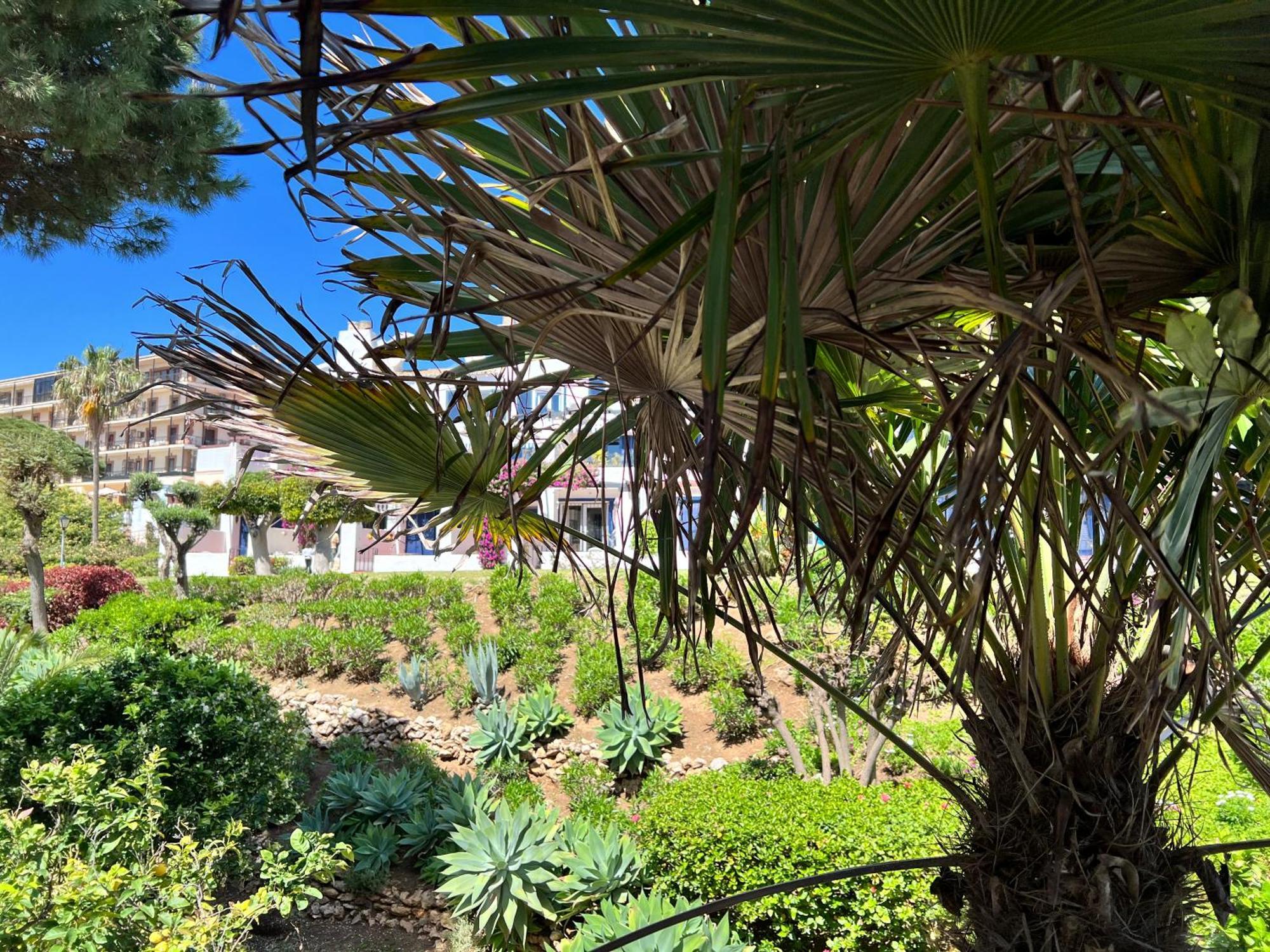 Newly Renovated 2 Bedroom Beachfront House Sitio de Calahonda Extérieur photo